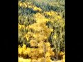 Colorado Colors: Autumn, 2007