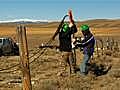 Wildlife Friendly Fencing