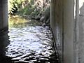CHULO en una tarde de natacion