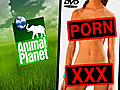 Animal Planet or Porno?