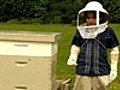 Boy On A Bee-Keeping Mission