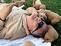 Attack of the Puppies