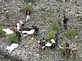 India road accident kills 34 people