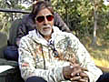 Big B joins hands with NDTV to Save our Tigers