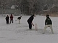 English joy in cricket’s ice World Cup