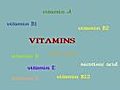 Learn about the Different Vitamins