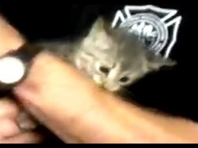 Schräge Rettungsaktion: Kätzchen aus Rohr geblasen