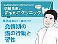 第55回　発情期の猫の行動と習性