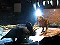 walking w dinosaurs（恐竜と歩こう）