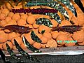 royal blood sakura shrimps