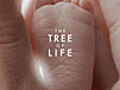 The Tree of Life - &quot;Gone on a Trip&quot;