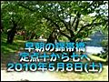 早朝の錦帯橋_20100508_out_10_7