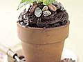 Flowerpot Cakes