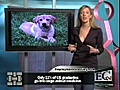 Jills Quicktime News Video - VeterinaryCrossing.com