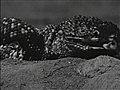 The Giant Gila Monster - The Giant Gila Monster