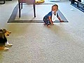 Cute Dog Plays With Baby