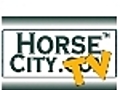 Horse City TV show 100406