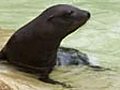 Splashing out at Berlin zoo