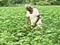 For Vidarbha’s farmers,  debt is death trap