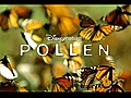 Pollen - Bande annonce