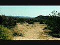 Joshua Tree National Park