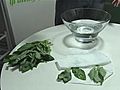 How To Dry Basil