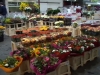 Rungis : le marché des fleuristes