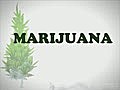 Facts You need to know about Marijuana