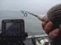 Chilly Temperatures Do Little To Slow Fishing Open