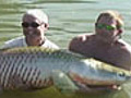 The Mighty Arapaima