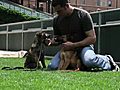 Orioles Players and Their Pets