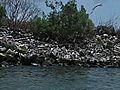 Texas Conservationists Rebuilding Lost Islands