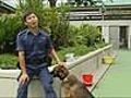 Pearl Report - 明珠檔案 - Proficient Pooches - 2009-07-05