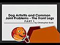 Dog Common Joint Problems - Front Legs