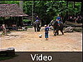 Elephant Soccer 2 - Chiang Mai, Thailand
