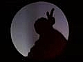 Wonderful World - hand shadow puppet Louis Armstrong