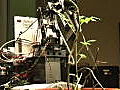 Tech: Robot Gardeners Tend Tomatoes