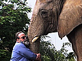 One Lucky Elephant - Trailer No. 1