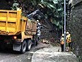 港島西半山和粉錦公路有大樹倒塌