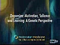 Dopamine: Motivation,  Salience and Learning - A Genetic Perspective