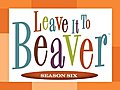 Leave it to Beaver,  Season Six: The Poor Loser