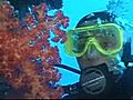 Scuba diving alle Fiji