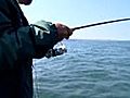 Choosing the Right Season to Fish on Lake Erie,  New York