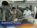Ice Age Baby Mammoth Unearthed