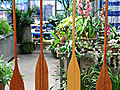 Canoe Paddles