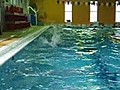 08.10.8 Let’s Swim 水上正面上級1ｺｰｽ