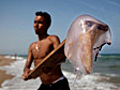 Jellyfish sting hundreds in Spain