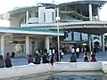 20090411OKINAWA