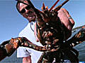 Visual Journey: Maine Lobstering