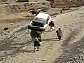 Comment des chameaux transportent-ils une voiture ?